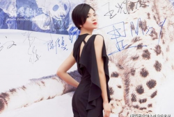 刘涛主演的电视剧全部,穿越时空的传奇人生